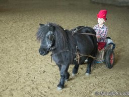 IMG_4204_web